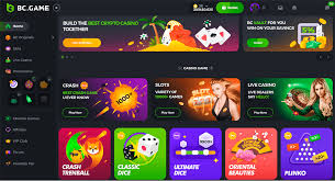Возможность и атрибуты интернет-сайта видеоигр BC