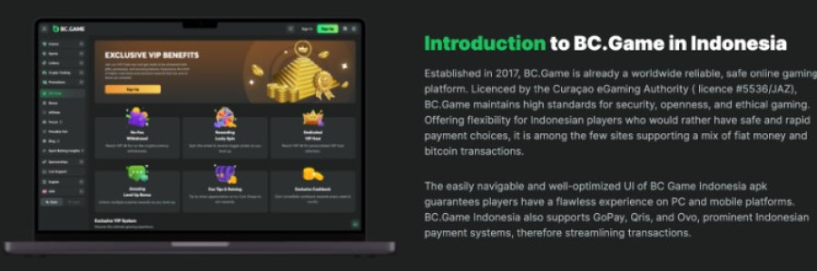 Bc Game Login Panduan Lengkap untuk Pemain Baru