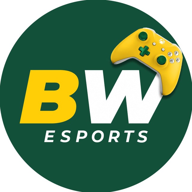 Descubra o Mundo do Betwinner Apostas e Jogos de Casino