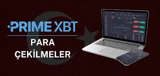 Discover the Advantages of PrimeXBT Crypto Broker
