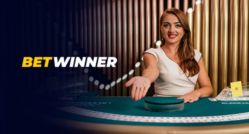 Betwinner Casino An In-Depth Look at the Online Gaming Experience