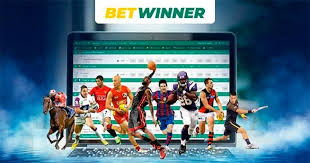 Comprehensive BetWinner Reviews for Savvy Bettors
