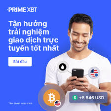 Contacting PrimeXBT Essential Information and Support Channels