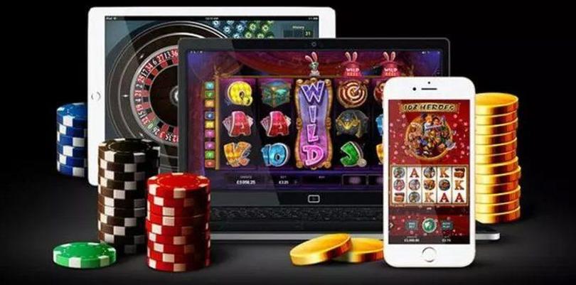 Discover How Vivi’s Platform is Designed for Players Who Want to Bet Big and Win Big