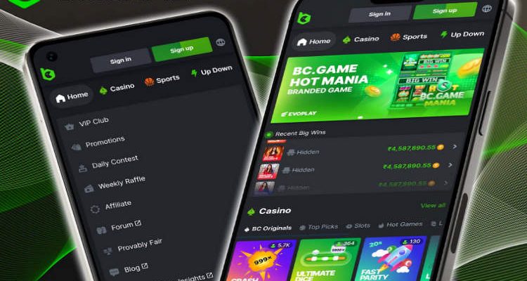 Discover the Fun of BC.Game Casino Play