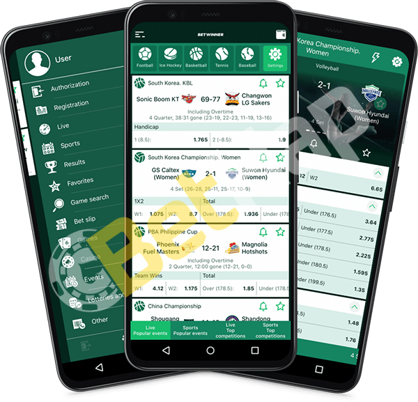 Discover the Ultimate Betwinner Download Experience