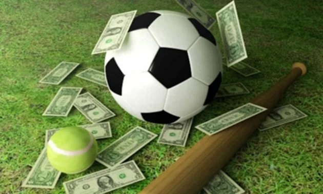 Explore the Excitement of 1win Cricket Betting