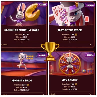 Magius Casino Registration Process 13
