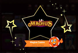 Magius Casino Registration Process 13
