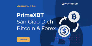 The Ultimate Guide to Trading with PrimeXBT 10