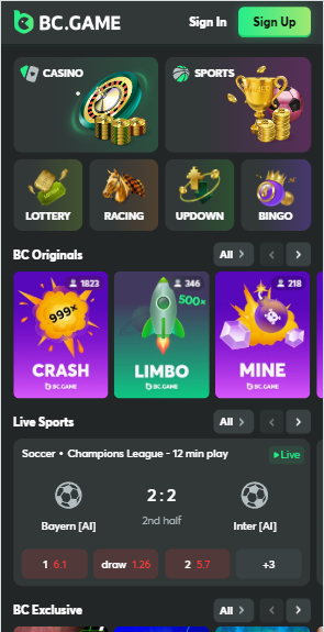 Comprehensive Guide to BC Game Payment Options 0