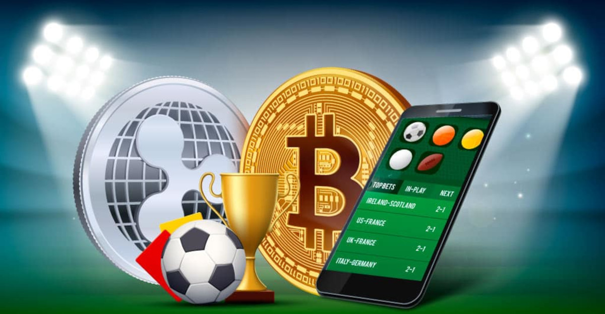 Exploring the Benefits and Features of Kiwi Bet