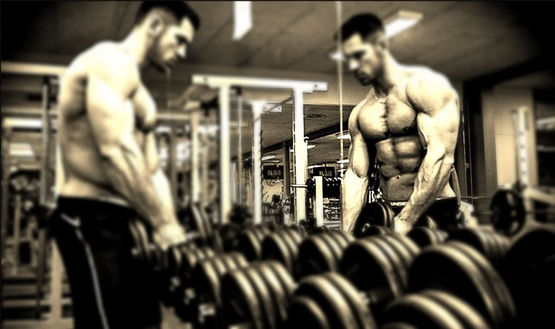 Factores de crecimiento para la regeneración muscular