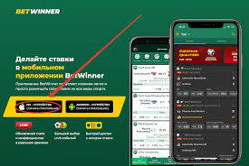 Découvrez Betwinner  Votre guide complet pour les paris en ligne