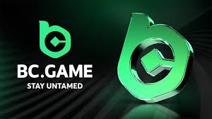 Discover the Excitement of BC.Game Bets Online 12